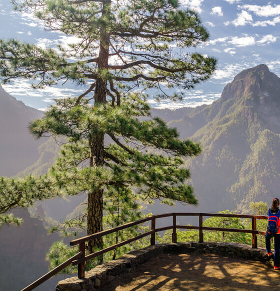 Vista sobre La Caldera de Taburiente