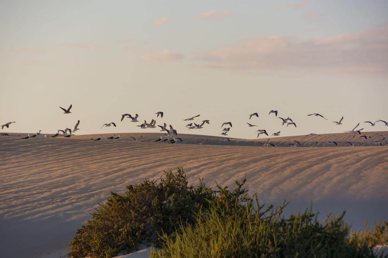 Corralejo, Fuerteventura.