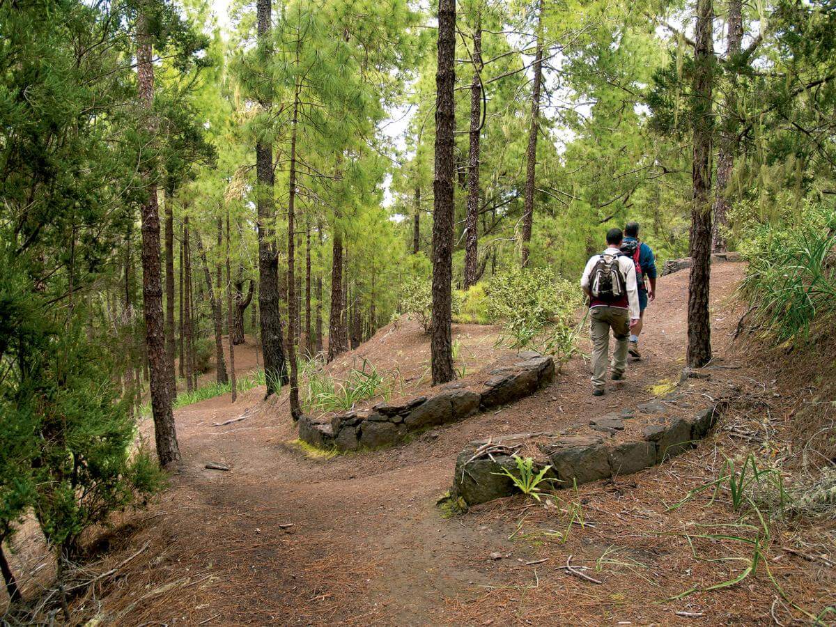 Parque Natural de Tamadaba, en Gran Canaria